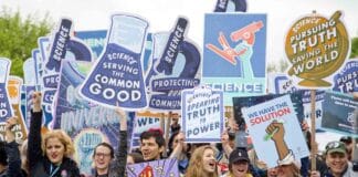 The Highs And Lows Of A Career In Science And Research