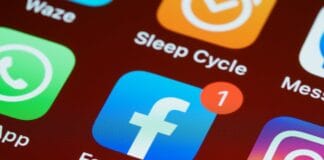 Social Media Growth: In the Art of Building Digital Influence