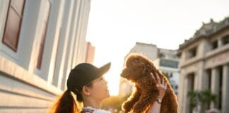 8 Pet Industry Trends in the Future