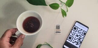 How Innovative Digital Marketing Practises Can Grow Your Brand