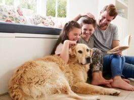 Pet Screening and Other Property Management Fees