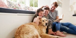 Pet Screening and Other Property Management Fees