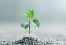 The Power of Passion: Fueling Business With Purpose