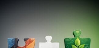 The Missing Link Between Strategy and Sustainability