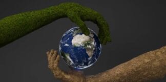 Which Sectors Are Being Disrupted by Sustainable Tech—And Who’s Leading the Charge?