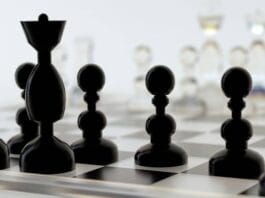 Leading with Purpose: The Ethical and Visionary Business Leader as an Ed.D. Graduate