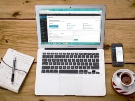 Is WordPress Still the CMS of Choice Among Business Owners in 2025?