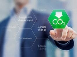 How to Track and Reduce Your Business’s Carbon Emissions You Should Know