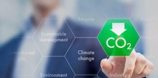 How to Track and Reduce Your Business’s Carbon Emissions You Should Know