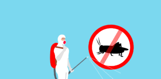 What Sets a Professional Pest Manager Apart From Others