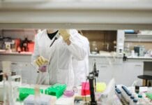 How to Choose the Right Cell Line Development Platform for Your Lab How to Choose the Right Cell Line Development Platform for Your Lab