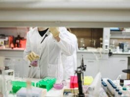 How to Choose the Right Cell Line Development Platform for Your Lab