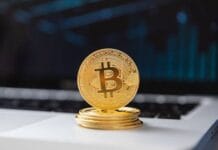 How Adopting Crypto Could Positively Impact Your How Adopting Crypto Could Positively Impact Your