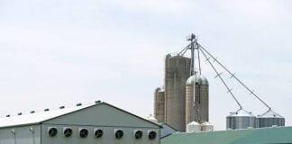 Creating Sustainable Systems: What Businesses Can Learn from Ventilation Design