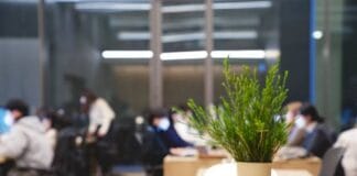 How Leadership Training Can Improve Contact Centre Performance