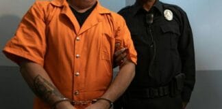 The Role of Local Knowledge in Palm Beach Gardens Criminal Defense Cases