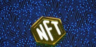 What NFT Communities Teach Us About Crowdsourced Innovation