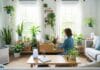 How To Create A Healthier Living Space at Home How To Create A Healthier Living Space at Home