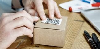 What to Look for in Trusted Blind-Box Collectibles