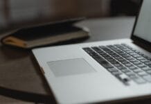 SEO in the Age of AI: Why Organic Search Still Shapes Digital Influence