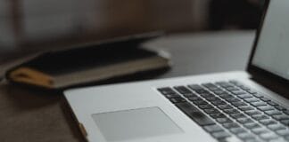 SEO in the Age of AI: Why Organic Search Still Shapes Digital Influence