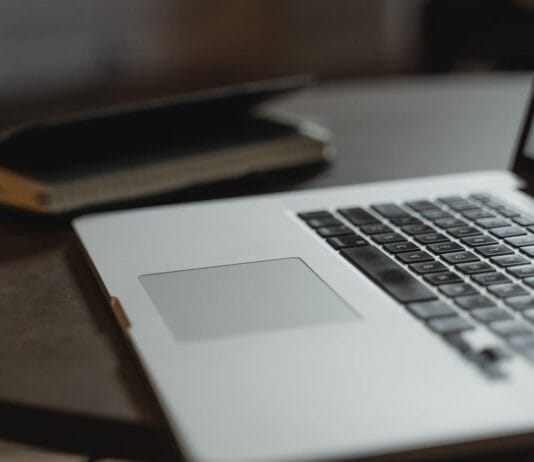 SEO in the Age of AI: Why Organic Search Still Shapes Digital Influence