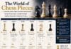 The World of Chess Pieces
