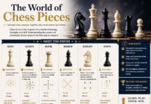 The World of Chess Pieces