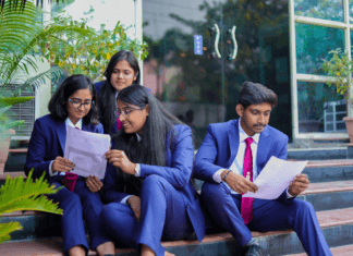 Unlocking Executive Potential: The Career Paths an MBA Opens Up