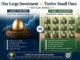 One large investment vs twelve small ones – which wins? One large investment vs twelve small ones - which wins?