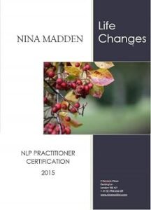 The Essential NLP Practitioner Manual