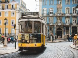 How Expert Advisory Support Simplifies a Golden Visa Application
